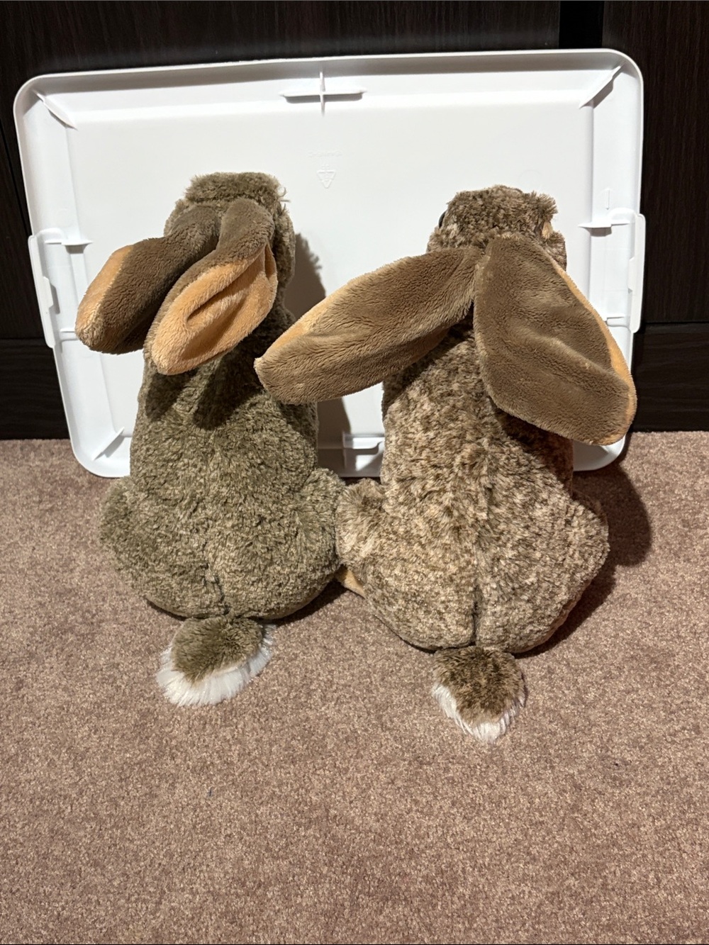 Plush Twin Jack Rabbits - Tan and Light Brown Soft Toys - Picture 3 of 5